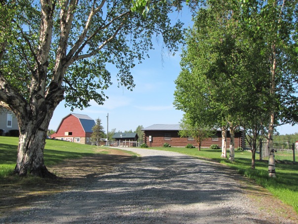 Colonial Barns